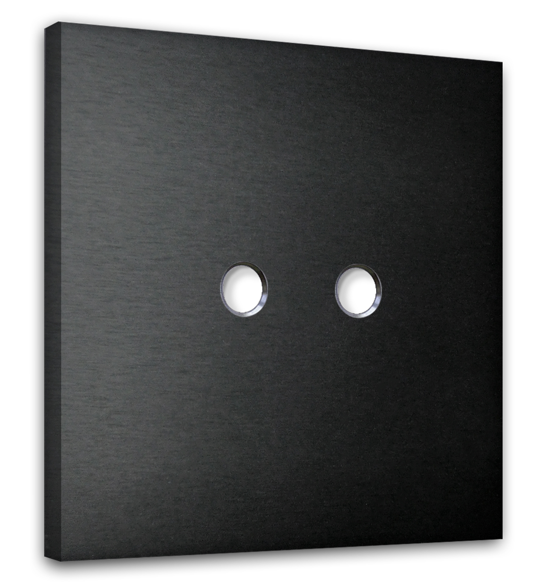 Retro toggle switch plate NINA 2-Gang.  Black metal. CJC Systems